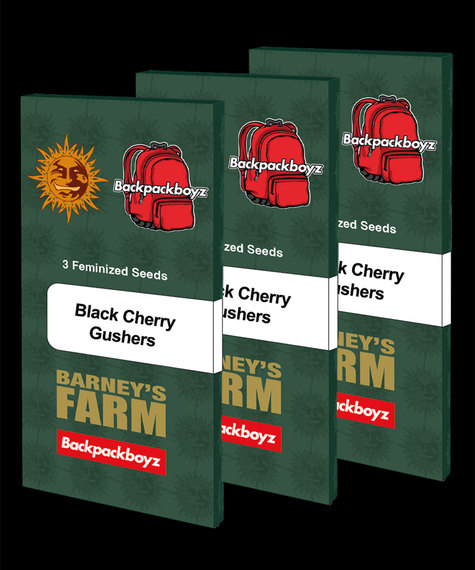 black-cherry-gushers-image