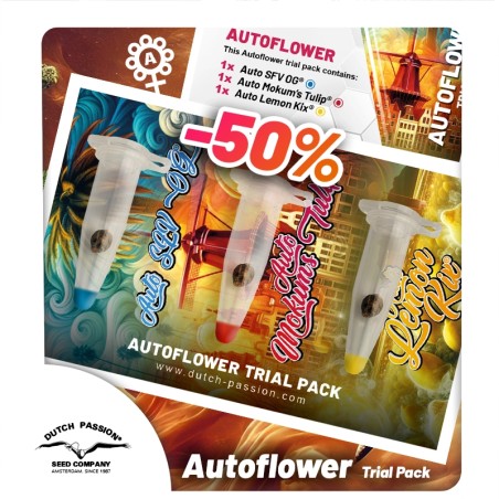 trial-pack-autoflower-image