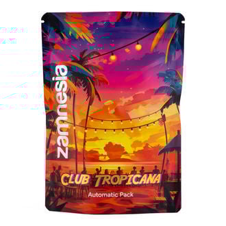 club-tropicana-pack-autoflower-strains-image