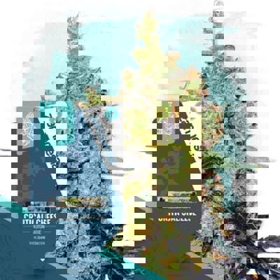 Critical Cheese Autoflower