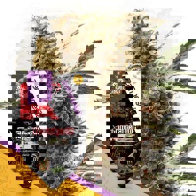 Godfather OG Autoflower