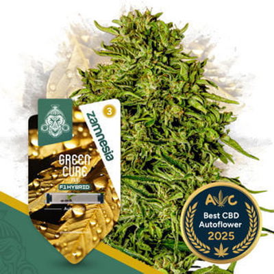 Green Cure CBD F1 Autoflower
