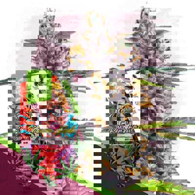 Karen Kush Autoflower