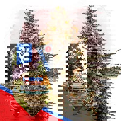 London Pound Cake Autoflower