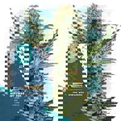 Monster Dwarf Autoflower