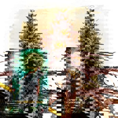 Raspberry Howl Autoflower