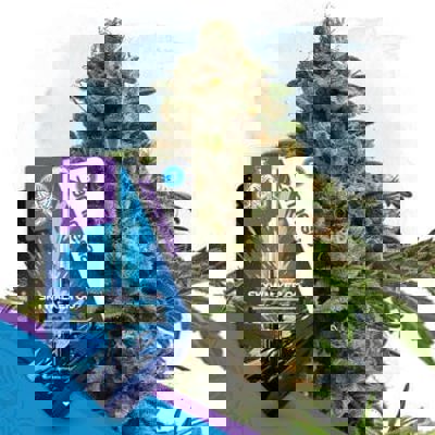 Skywalker OG Autoflower