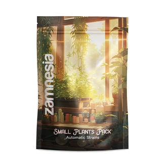 small-plants-pack-autoflower-strains-image