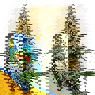 Solar Panel Autoflower