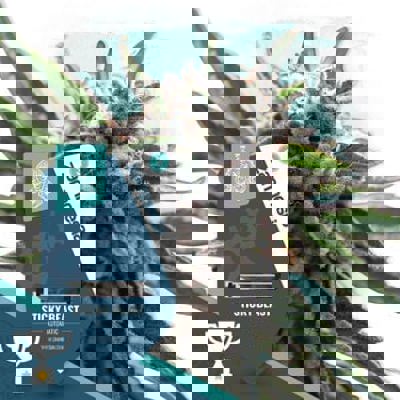 Sticky Beast Autoflower