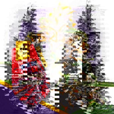 Trainwreck Autoflower