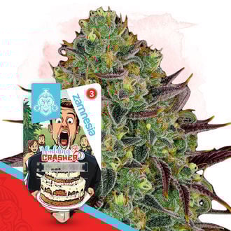 wedding-crasher-image