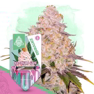 ice-cream-cake-autoflower-image