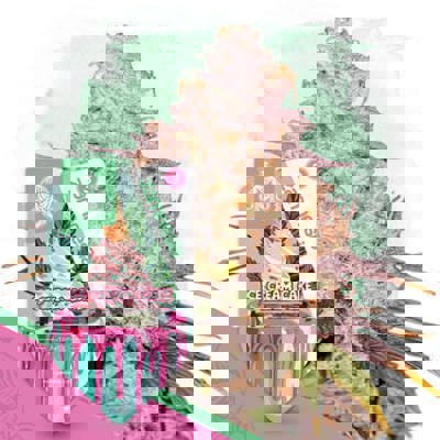 Ice Cream Cake Autoflower