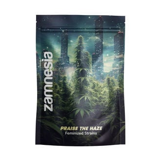praise-the-haze-pack-strains-image