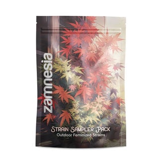strain-sampler-pack-outdoor-strains-image