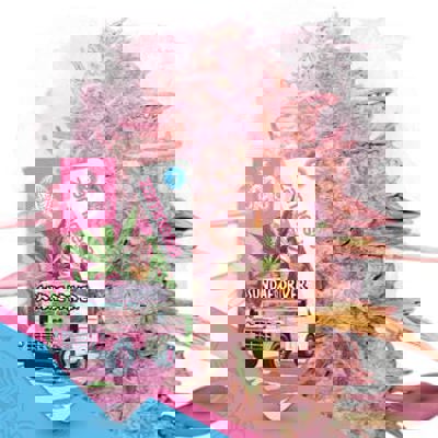 Sundae Driver Autoflower