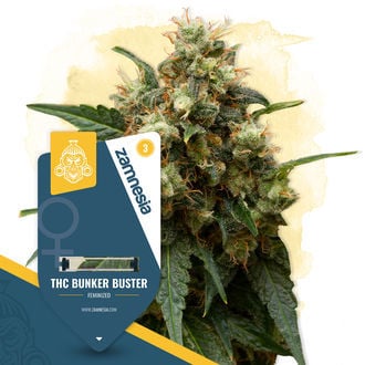 THC Bunker Buster