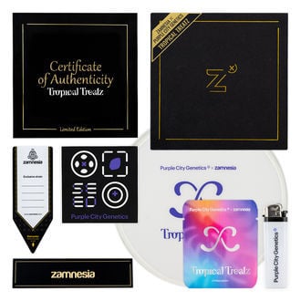 tropical-treatz-image