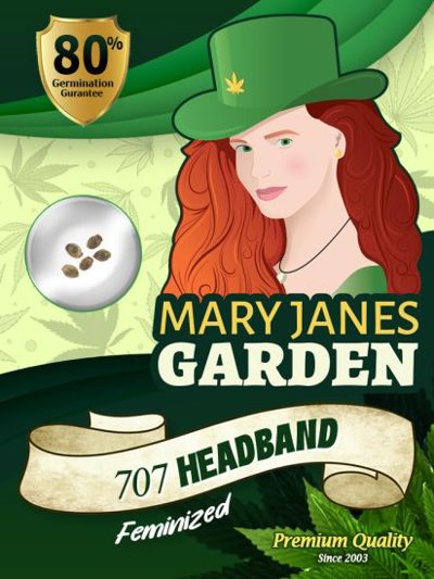 707 Headband