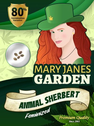 Animal Sherbert