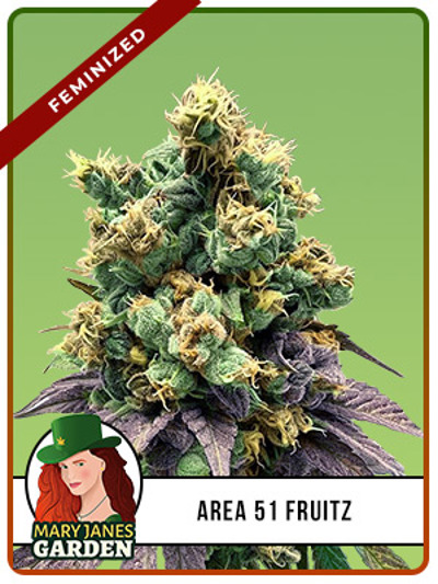 Area 51 Fruitz