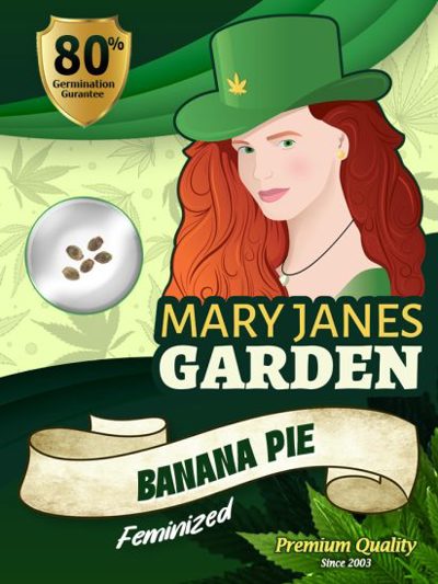 Banana Pie