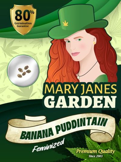 Banana Puddintain