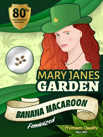 banana-macaroon-image