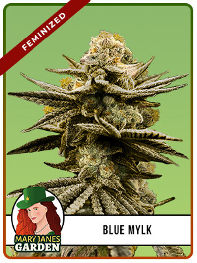 Blue Mylk
