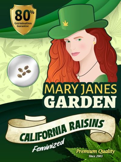 California Raisins