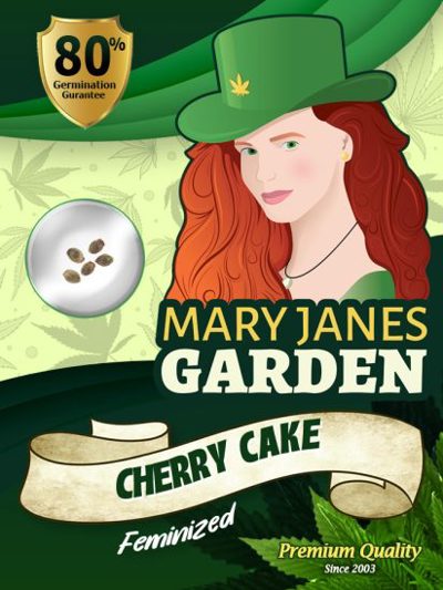 Cherry Cake