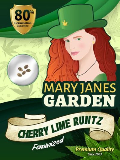Cherry Lime Runtz