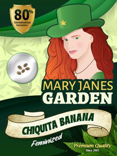 Chiquita Banana