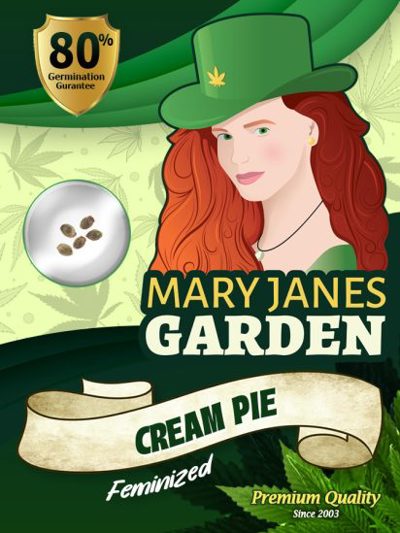 Cream Pie