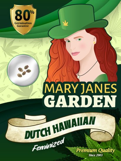 dutch-hawaiian-image