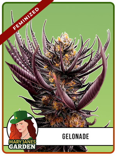 Gelonade