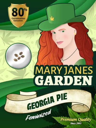 Georgia Pie