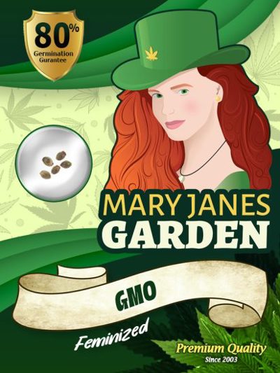 GMO
