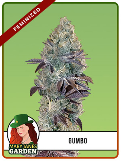 Gumbo