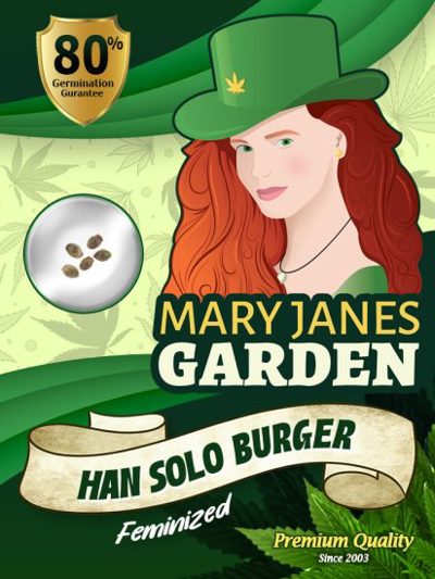 Han Solo Burger