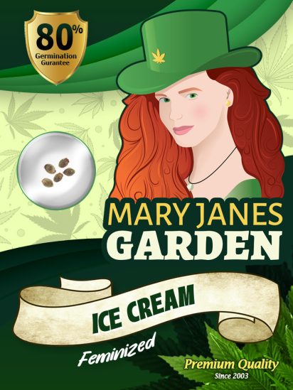 ice-cream-image