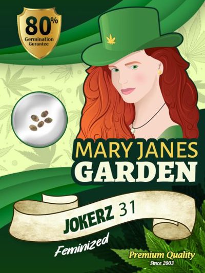 Jokerz 31