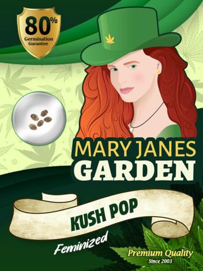 Kush Pop