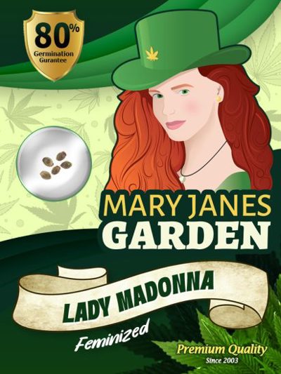 Lady Madonna