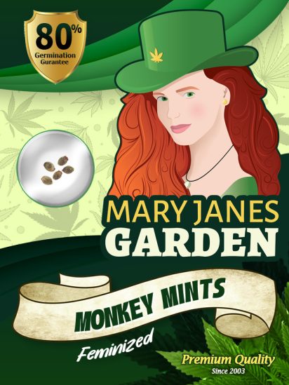 monkey-mints-image