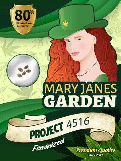 Project 4516