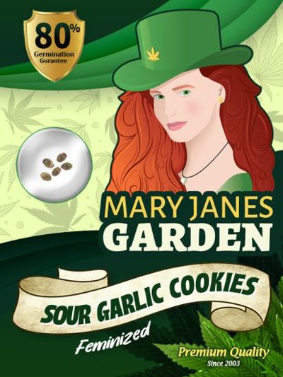Sour Garlic Cookies