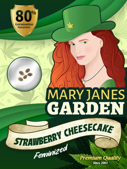 Strawberry Cheesecake