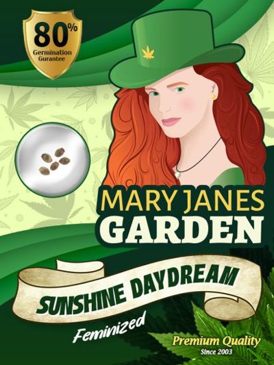 Sunshine Daydream